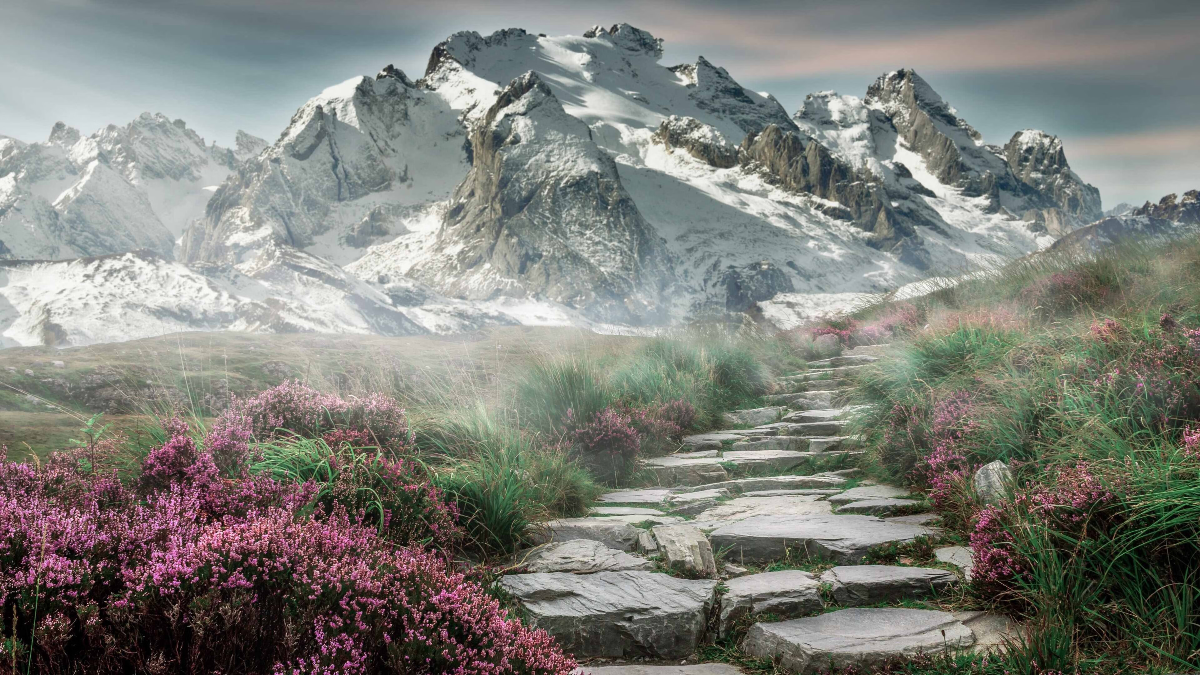 欧冠夜空下，那个希腊巨人正在密尔沃基的球场上演自己的关键战