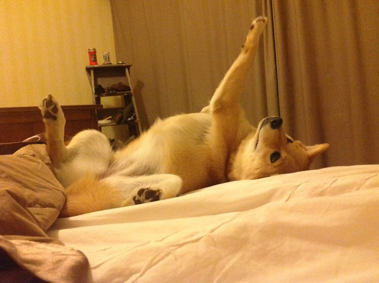 爱尔兰强势拿下厄瓜多尔，萨卡带队取胜，一场被雨水泥泞定义的非典型胜利