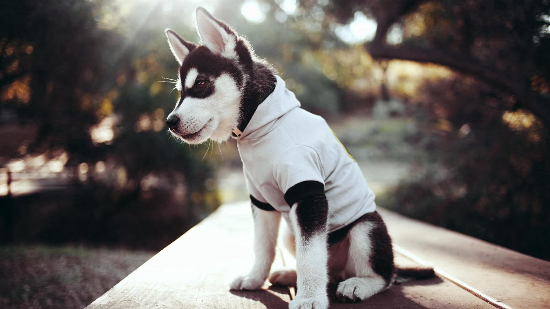 街道赛新王诞生！马赛车队土耳其之夜强势夺魁