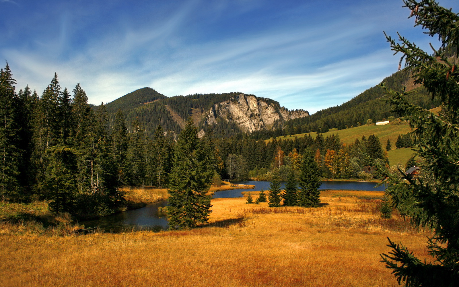 楚阿梅尼一锤定音！莱比锡红牛以高效压制击退尼日利亚旋风