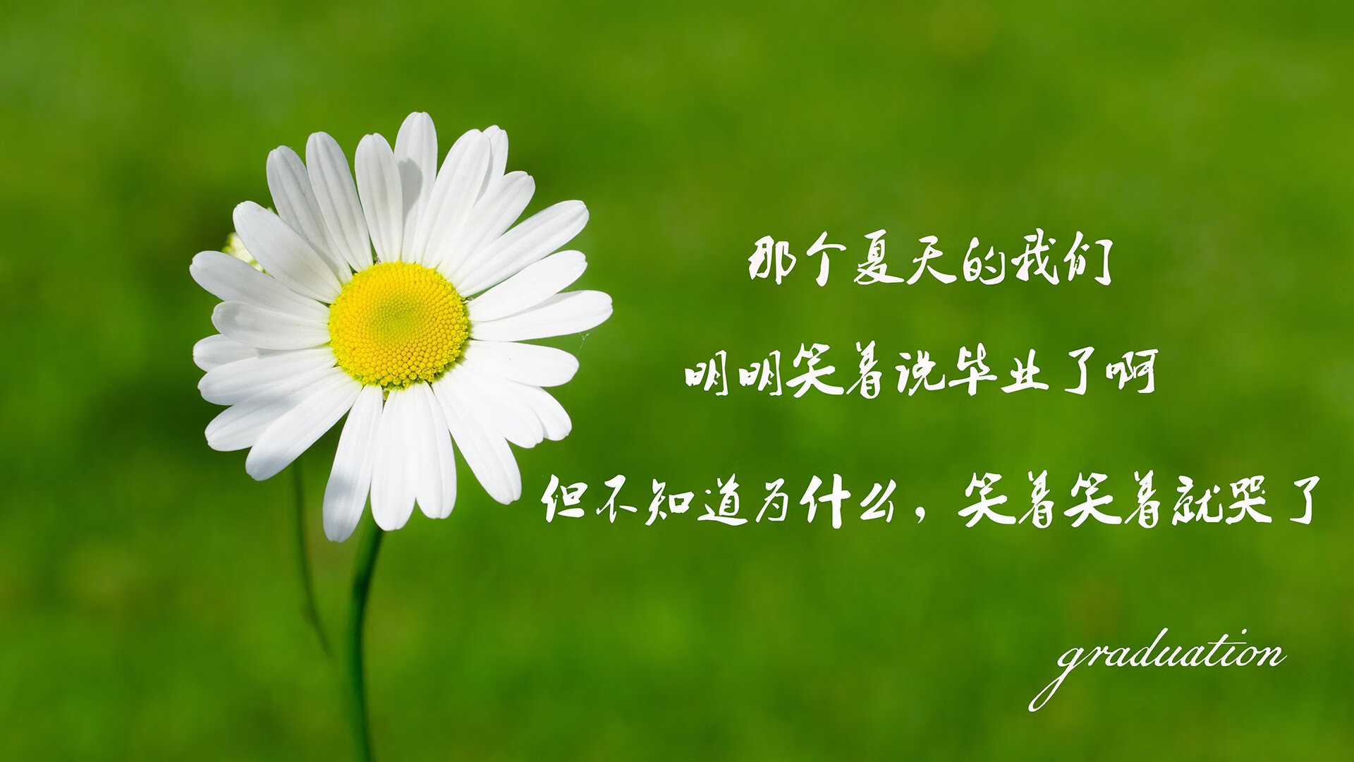 绿茵博弈中的战术镜像，从奥地利战术体系看现代足球的区域控制艺术