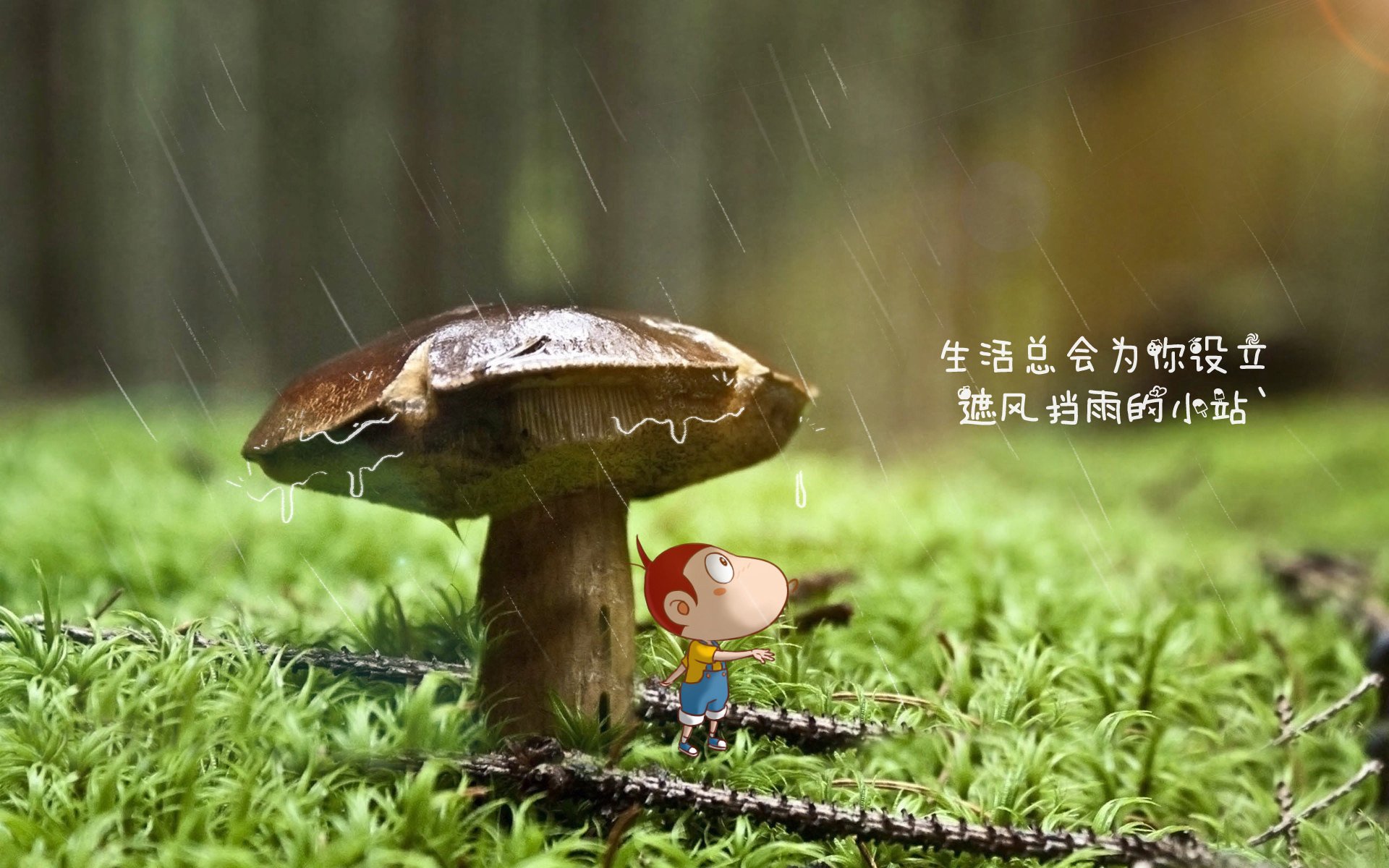 绿茵博弈中的战术镜像，从奥地利战术体系看现代足球的区域控制艺术