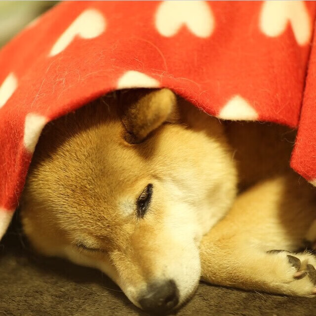 跨界对抗，当季后赛遇上洲际战场—从NBA战术看摩洛哥足球的致胜抢断