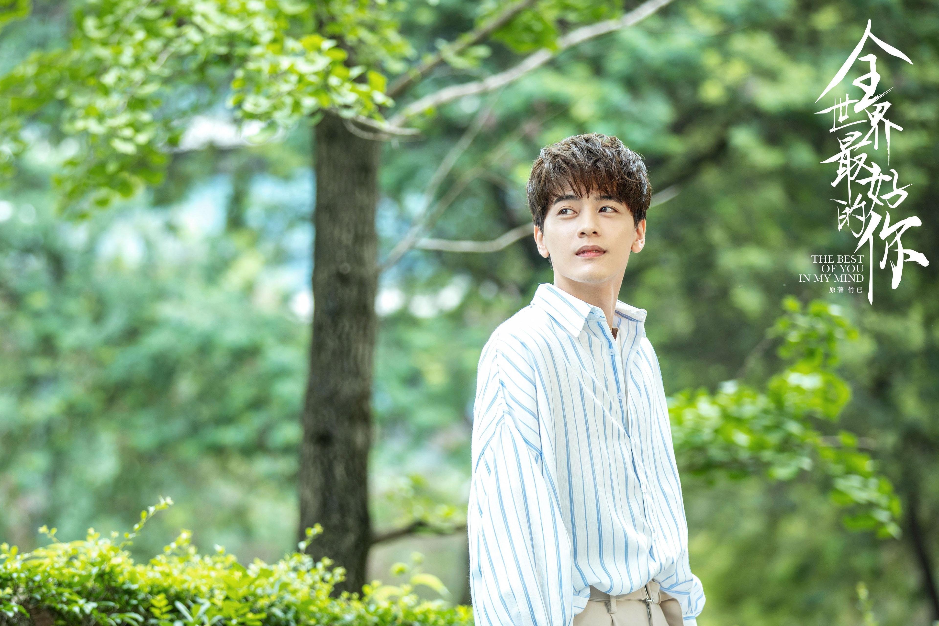 亚洲坚韧与西甲智慧，伊朗足球的血拼与卡瓦哈尔的战术接管