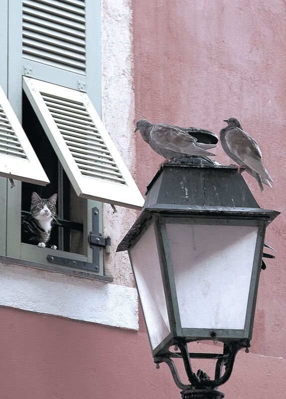 独舞盐湖城,当切特用末节15分改写唯一剧本