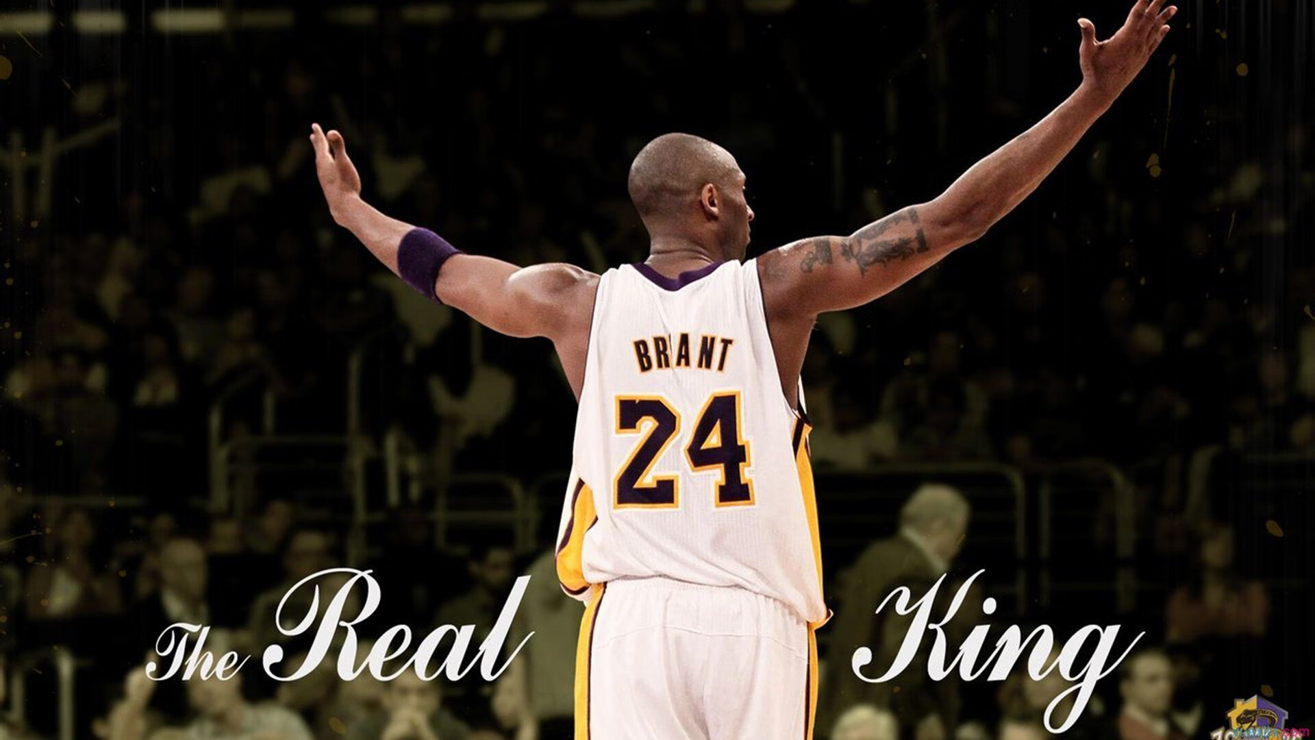 猛禽狩猎夜，锡安逆天一击，惊魂三秒定乾坤