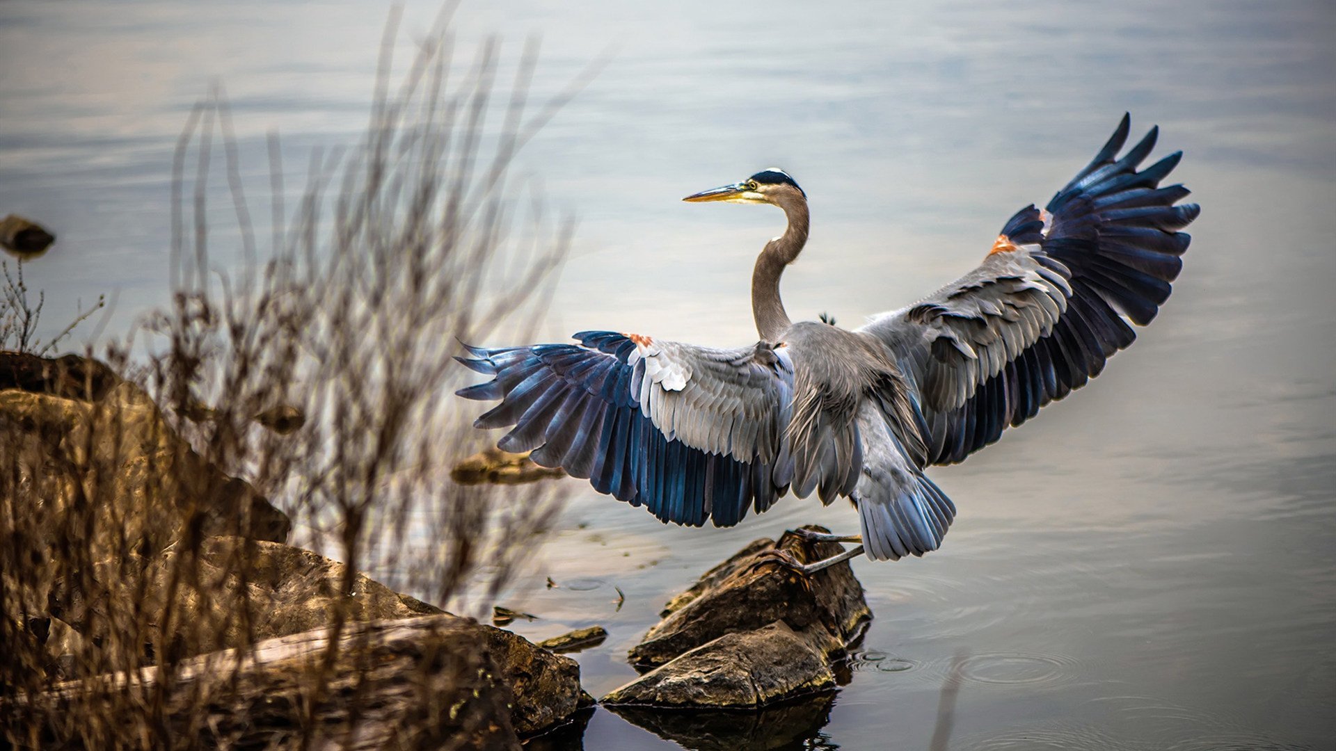 封印时间的舞者,格列兹曼在欧冠决赛夜谱写控制学史诗