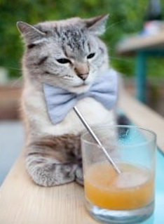 雷霆版恩比德效应—团队协作如何掀翻开拓者