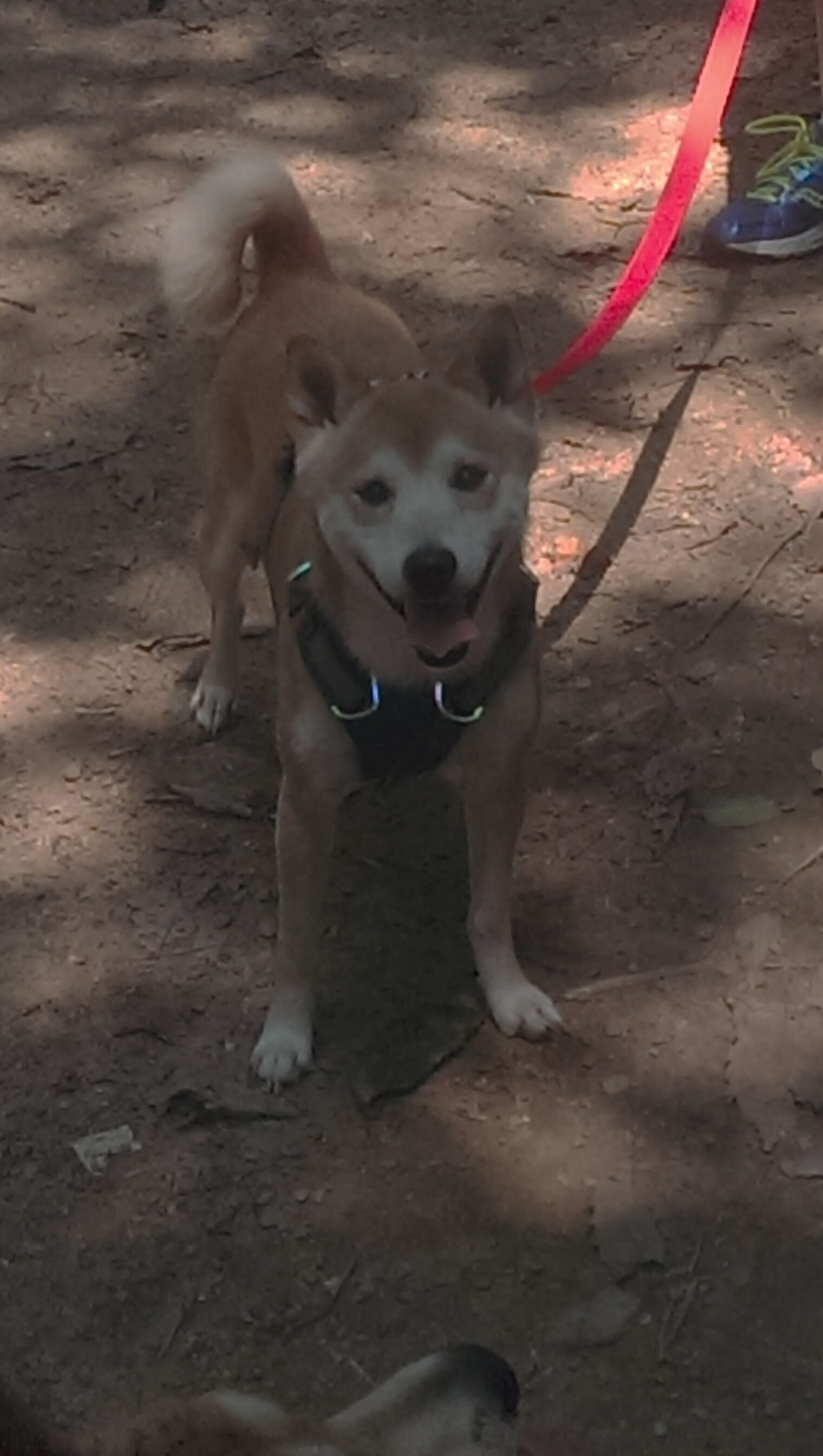 淬火者与凡人骨，当哈登的舞台遭遇热火的终结艺术