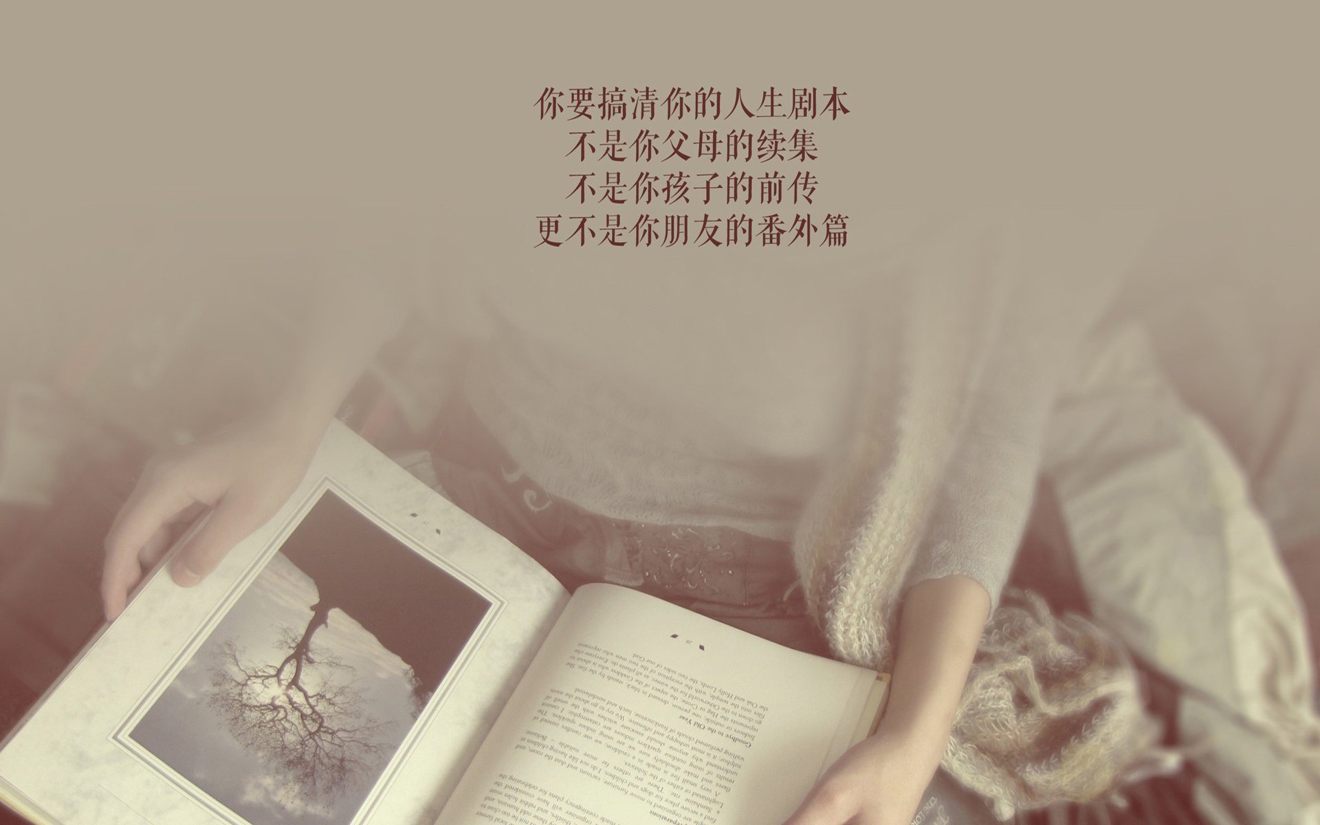 钢铁洪流与精密机器，马里图腾如何压制日本引擎—一场定义F1赛季的终极对话