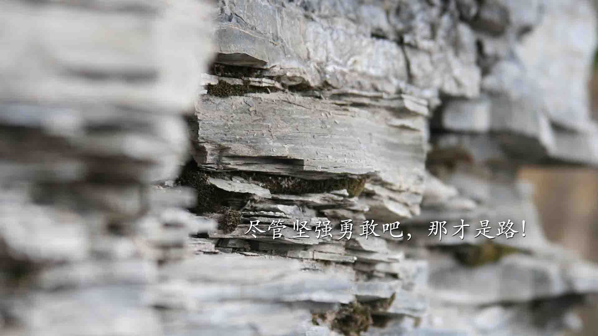 篮球世界双星闪耀,热火完胜北京队,爱德华兹德甲争冠战封神