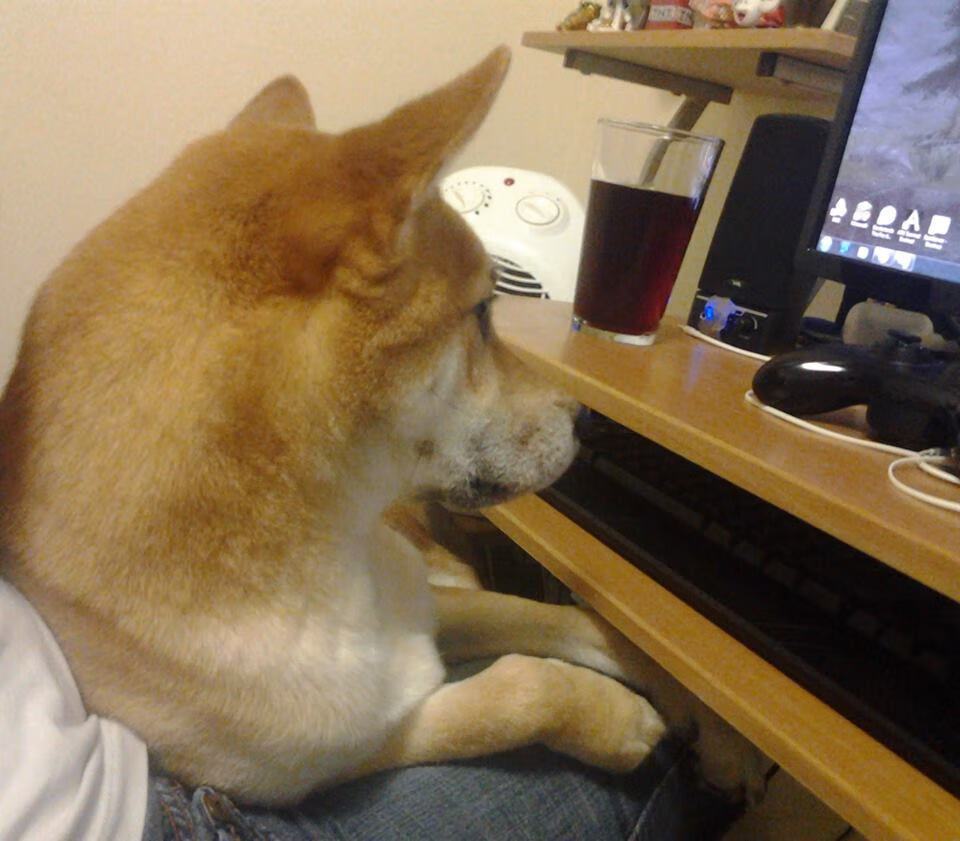 闪电战碾碎沙漠之狐,保加利亚用唯一的答案震惊世界杯
