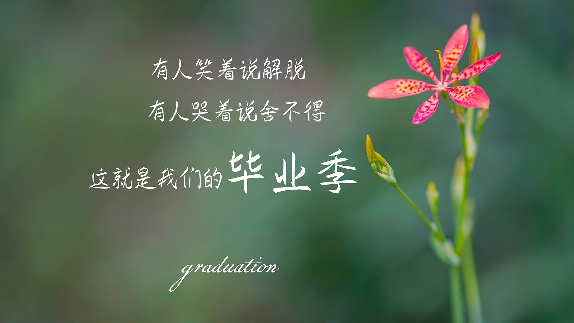 好，我先扩展思维，为你构思一个兼具文学张力与赛事焦点的文章标题，然后再围绕这个标题展开内容