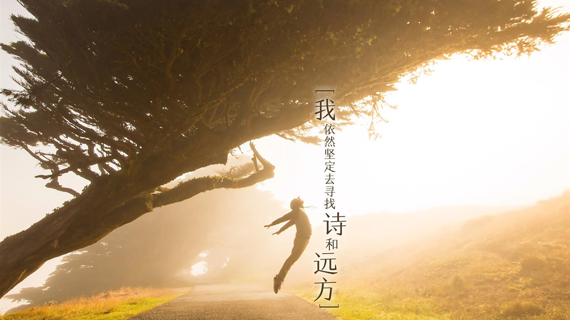 唯一变量,2026,坎塞洛如何用异类身份定义一场世界杯的世纪对决